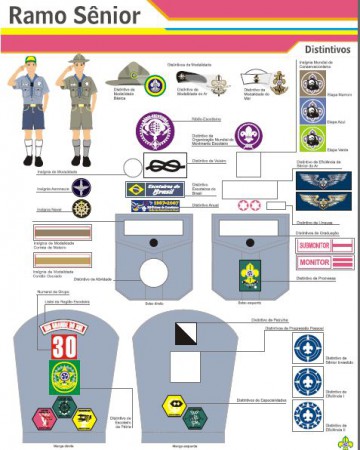 CARTAZ - DISTINTIVOS DO RAMO SÊNIOR